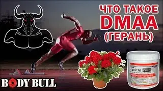 Основные эффекты 1,3 DMAA (Геранамин, Герань)