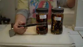 Make vanilla extract with us!