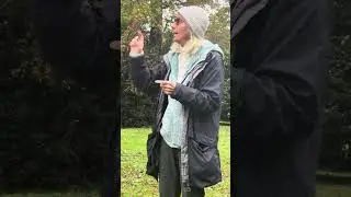 How the Wood Wide Web works