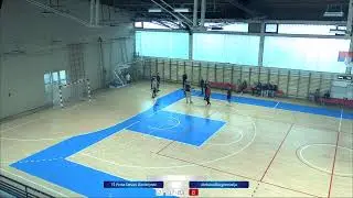 S&Scaron; Rukomet T&Scaron; Prota Stevan Dimitrijević - Aleksinačka gimnazija