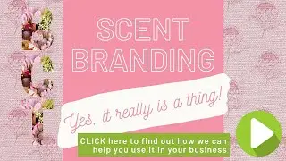 Balance Cape Town Savvy Scent Solutions for the Hospitality Industry