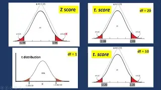 Statistics (04)  Area 95% under Z distribution and t distribution
