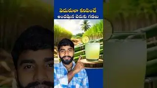 😳వెదురులా కనిపించే అందమైన చెరుకు గడలు ⚡Mr Akhil Rocky #sugarcane #amazing #facts #factshorts #short
