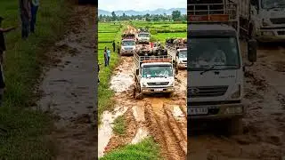 😱Unbelievable! Heavy Trucks Loaded with Buffaloes Stuck in Deep Mud Road