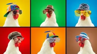 J.Geco Chicken Dance New Remix 2026 | chicken dance party mix | chicken dance special 🐓 