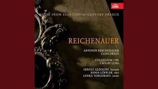 Concerto for Bassoon, Strings and Basso continuo in G minor - Allegro