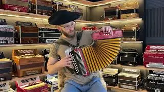 Hohner Erica sol e d&oacute;, revisada (gaita ponto, sanfona, fole 8 baixos)