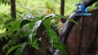 Amazing mind blowing rain drops outside my window -DeshView