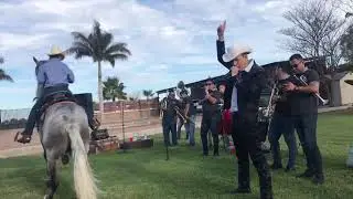 El guasave&ntilde;o de sinaloa cantando el muchacho alegre fiesta privada