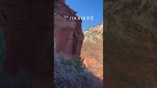 The Moment vs The Journey🏔️ #zioncanyon  #over50 #angelslanding  #classicadventure #youngatheart