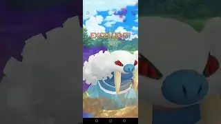 Mew dominates the Naiad cup