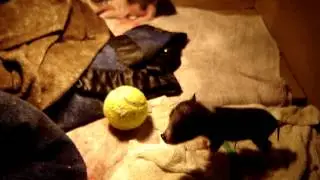 MOV00671