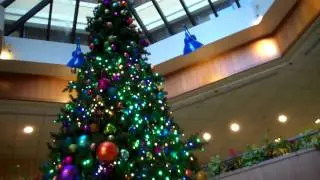 Christmas Tree at Disneyland