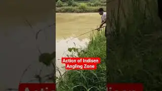 Double Rup Chanda fish in a rod Indisen Angling Zone Dimapur Nagaland.