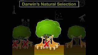 Predator Prey Relationships Part I