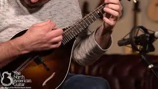 Collings MT Mandolin - Played by Carl Miner
