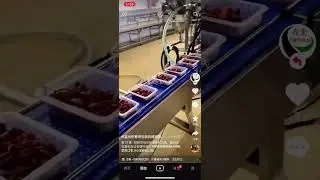 Lobster packing multi-head weigher dosing tray sealing machine