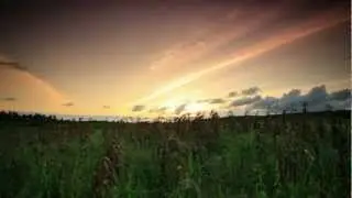 Supercharged Immune System - Affirmations health