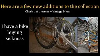 My Vintage bicycle collection UPDATE! Check out the latest additions!