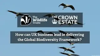 How can UK business lead in delivering the Global Biodiversity Framework?