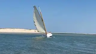 Cat Boat Reference