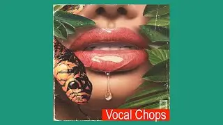 [FREE] VOCAL CHOPS SAMPLE PACK (+10 Royalty Free) vocal samples | vol:26