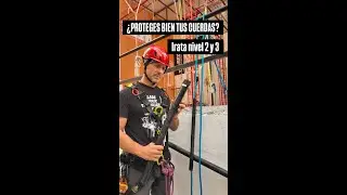 ¿PROTEGES BIEN TUS CUERDAS?