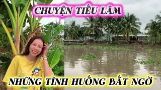 Những câu chuyện tiếu lâm giọng kể miền Tây Tâm Nhà Quê