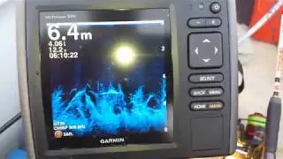 GARMIN ECHOMAP CHIRP 52DV  режим DownVu
