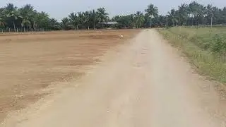 Pap மெயின் வாய்க்கால் அருகில்  2.50 ஏக்கர் விவசாய நிலம் விற்பனை பூளவாடி ஏரியா 