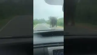 Sri Lankan Toll Booth
