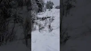 Braaap