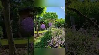 Alium aus Draht Gartenstecker DIY #gartensteele #drahtdeko #aliumdeko #aliumausdraht #wiredecoration