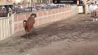 Primer Torneo charro Ganaderos De Los Altos y Restaurant Mesón De Los Frailes