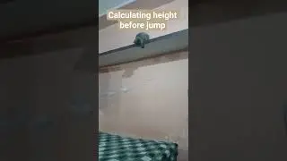 #joyfirstjump#accuratecalculation# #pusssinbootsthelastwish #undertraining