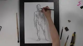 Рисунок. Фигура человека. Мужская фигура в контрапосте-2