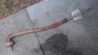 tusken gaffi stick