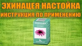 ЭХИНАЦЕЯ НАСТОЙКА ИНСТРУКЦИЯ ПО ПРИМЕНЕНИЮ ПРЕПАРАТА, ПОКАЗАНИЯ,  КАК ПРИМЕНЯТЬ, ОБЗОР ЛЕКАРСТВА