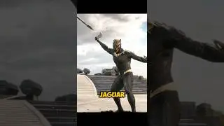 Why T'Challa Didn&rsquo;t Choose the Golden Suit in Black Panther?