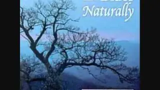 The Blues Naturally Northsound Like I  Need You