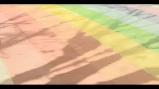 Gay and Grey