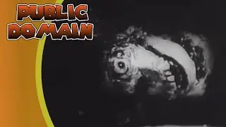 Public Domain Horror Movies