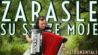 Zarasle su staze moje (instrumental) - Denis Pecanin