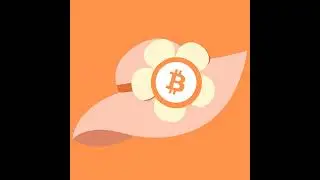 A college student and a new college grad discuss their perspectives on money, future and having B...