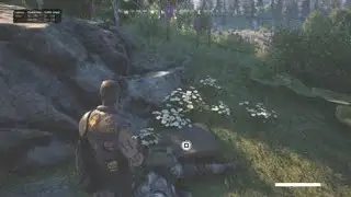 Vigor silent jump