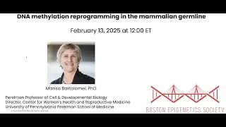 Boston Epi Society (BES) Webinar - DNA Methylation Germline Reprogramming with Marisa Bartolomei