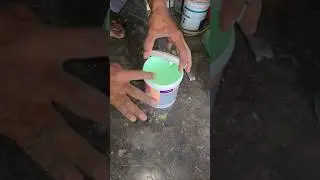 Asian paint Apcolite All Protek Shyne emulsion|| color mixing # shorts #color #paint #asianpaints