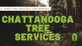 Tree Service &ndash; Chattanooga - Tree Removal Service Near Me - B Jones Tree Service Chattanooga TN