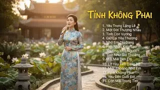 Liên Khúc Bolero Việt Nam Nhẹ Nhàng | Thư Giãn & Dễ Ngủ