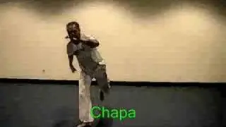 capoeira-basic moves
